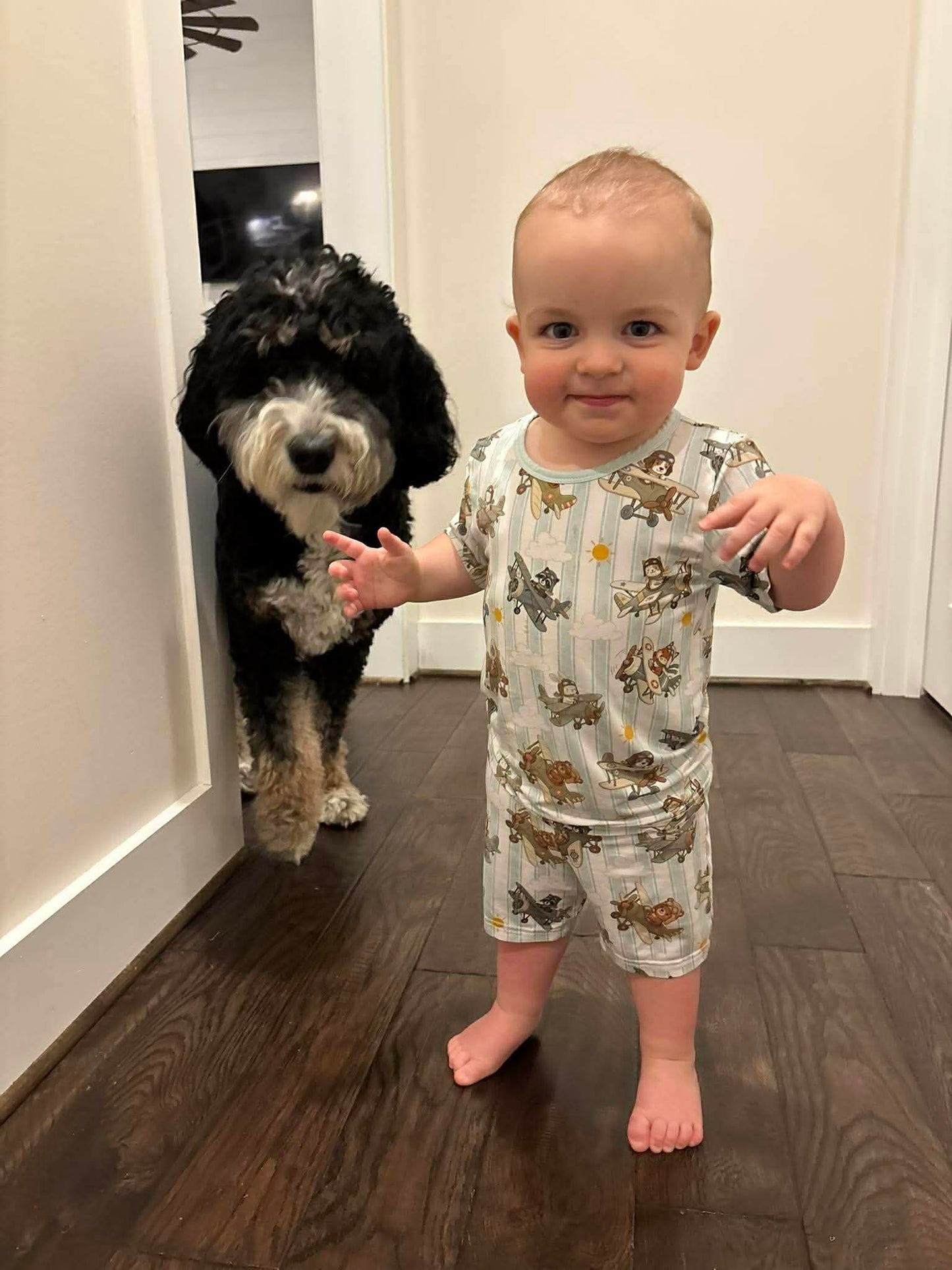 AIR PATROLLERS